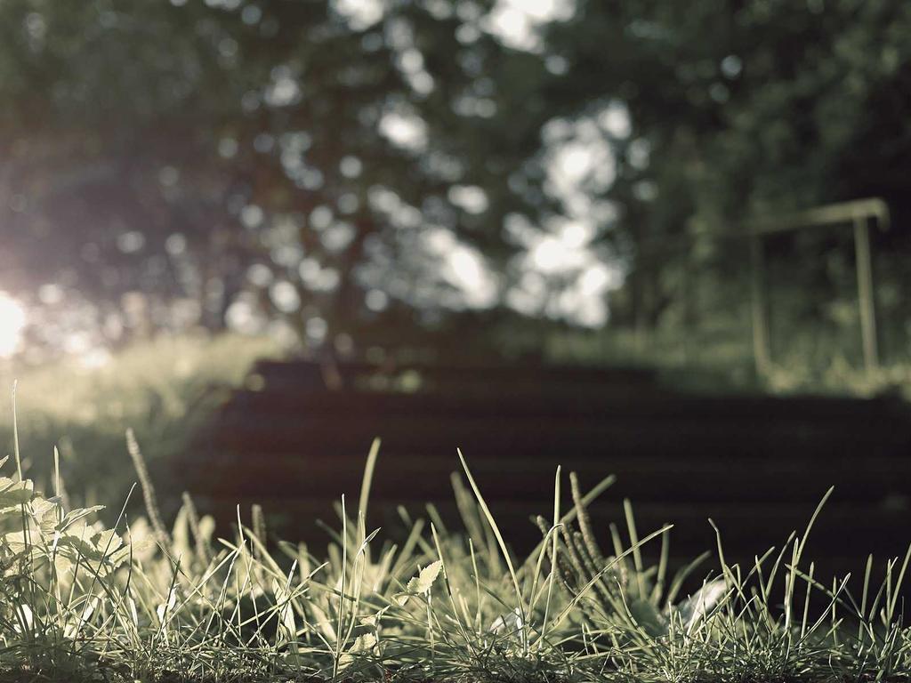 中医师承中途放弃怎么办？真实原因+止损建议+后续出路（2024权威指南）