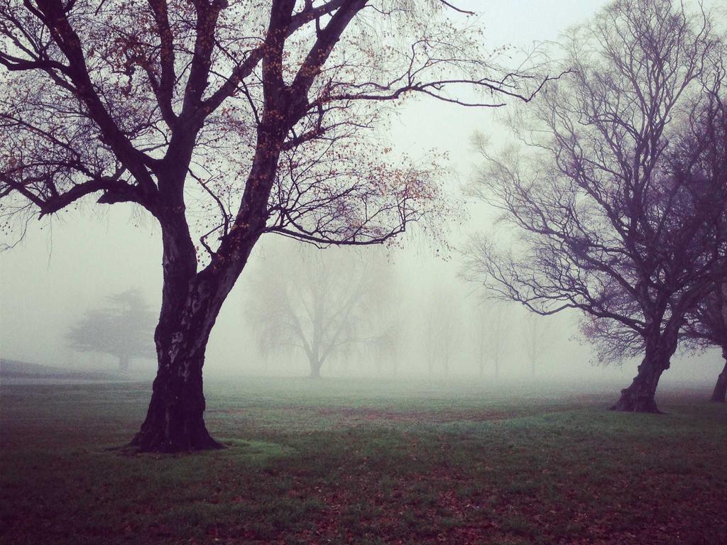 重庆中医师承最新政策2024落地实录：别再跑空了，我帮你捋清了所有坑示意图1