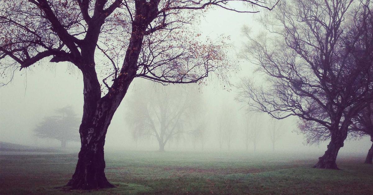 Cash Flow for Seasonal Businesses: A Guide for Freelancers