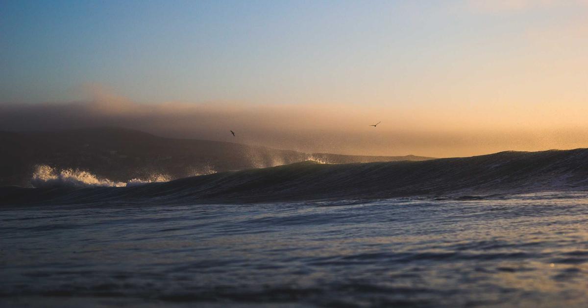 The Startups's Guide to Financial Statements