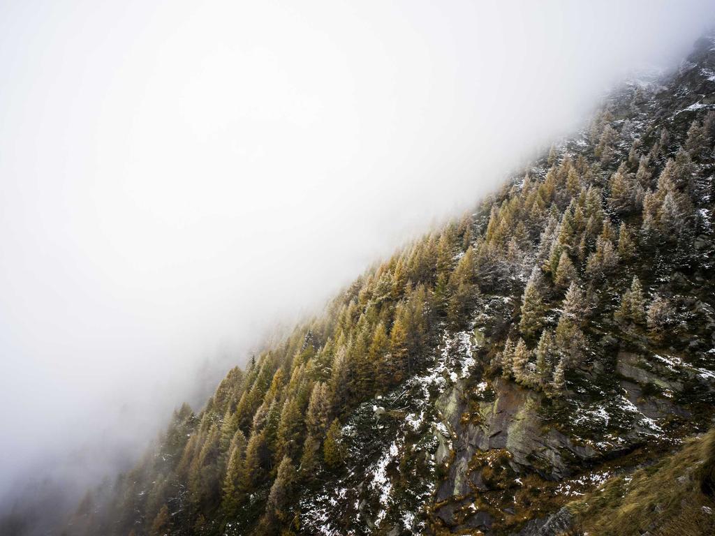 中医师承的条件到底严不严？过来人掏心窝子说说