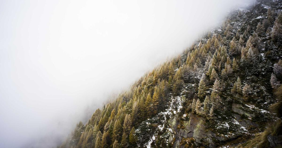 Valentine's Day Business Tips: A Guide for Entrepreneurs