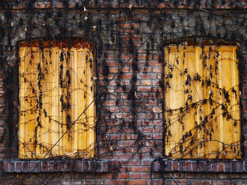 辞职中医师承：从医院白领到跟师学医，我的三年真实路