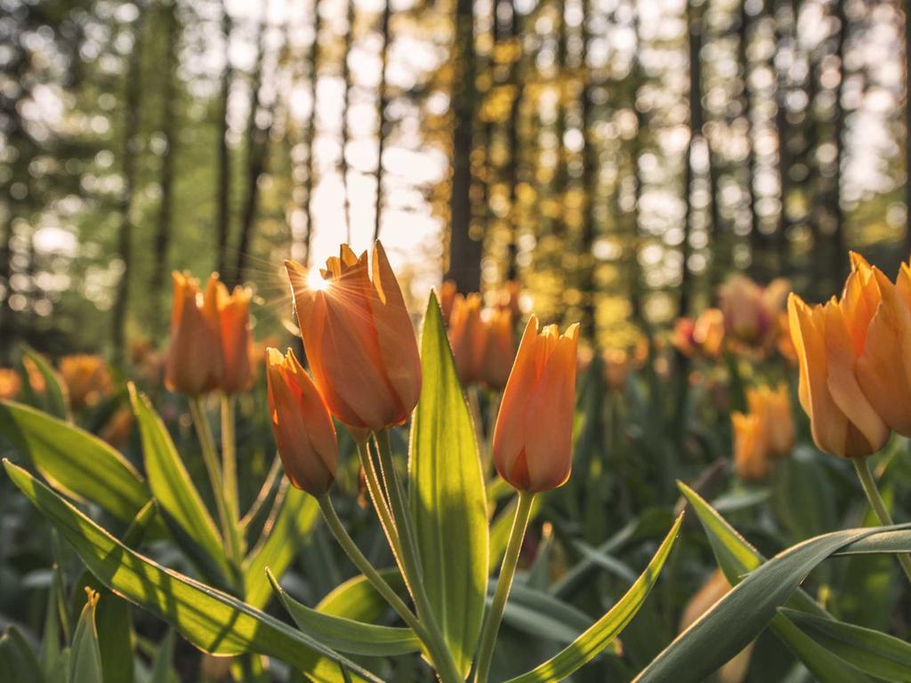 新疆中医师承培训｜官方认可·跟师实操·考取医师资格
