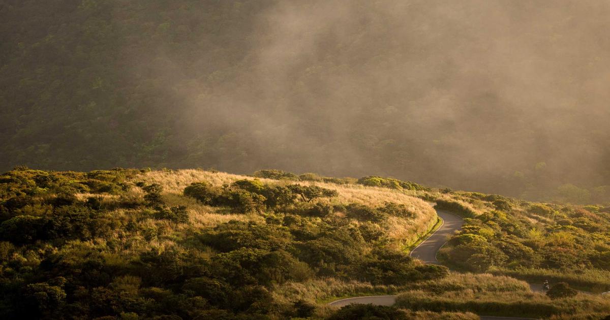 How to Read a Financial Summary Like a Pro